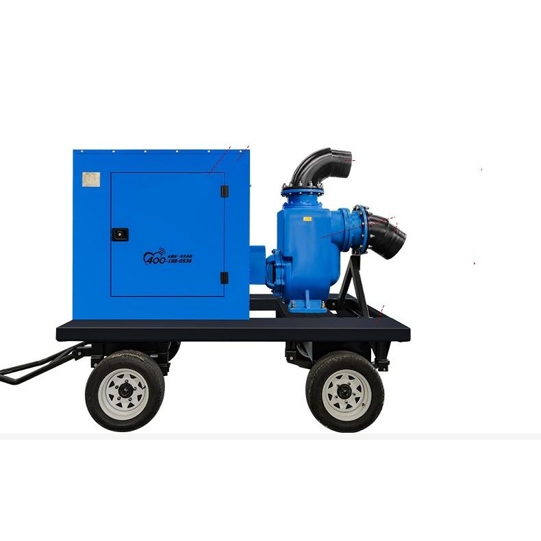 Self-Priming Sewage Pump